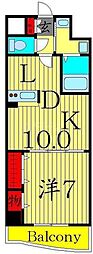 プラシード 1LDKの間取図画像