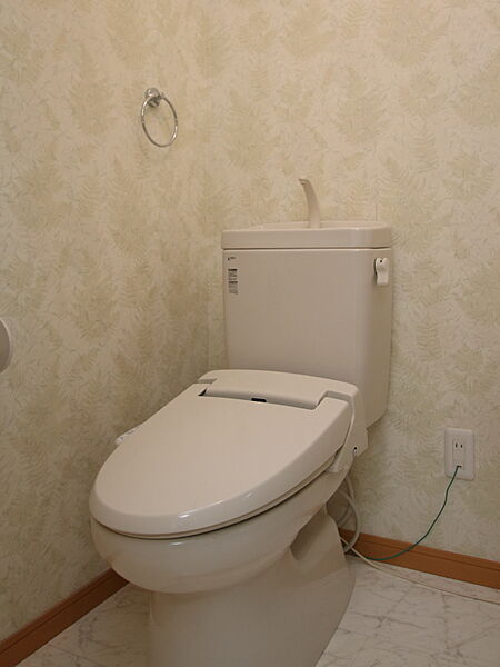 画像10:トイレはパウダールームタイプです