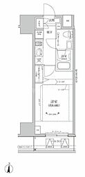 RELUXIA亀有 1Kの間取図画像