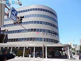 ライオンズシティ新潟  ｜ 新潟県新潟市中央区上大川前通7番町（賃貸マンション1K・6階・27.26㎡） その19