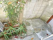 植物もあり落ち着きます。