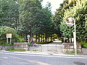 公園「妙正寺公園まで380m」