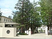 大学「東京女子大学まで790m」
