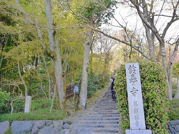 京都府京都市西京区桂徳大寺町(賃貸マンション2DK・2階・46.16㎡)の写真 その28