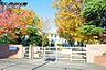 周辺：中学校 600m 福生市立福生第一中学校