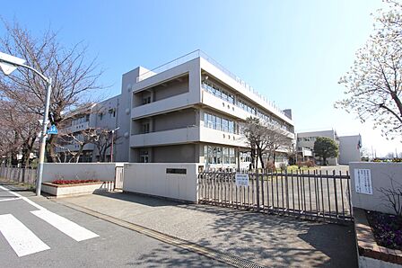 小学校 500m 青梅市立霞台小学校