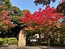 周辺：【公園】紅葉山公園まで350ｍ