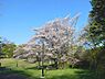 周辺：桜ヶ丘公園まで徒歩10分　桜の季節はお花見で賑わいます！