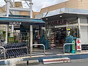 スーパー「マルフジ南田園店まで353m」