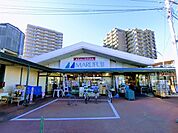 スーパー「マルフジ東青梅店まで1596m」