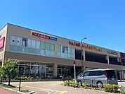ドラッグストア 「サンドラッグ西武立川店まで245m」