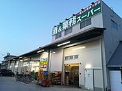 スーパー「業務スーパー青梅店まで597m」