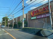 スーパー「ヤオコー立川若葉町店まで532m」