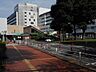 周辺：病院「武蔵野赤十字病院まで540m」