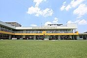 幼稚園、保育園「府中天神町幼稚園まで312m」