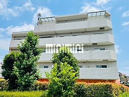 Stella　HashimotoII