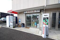 8 / 9