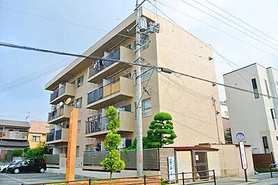 外観 外観