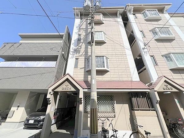 ライフイン住之江A棟 401｜大阪府大阪市住之江区東加賀屋３丁目(賃貸マンション2DK・4階・30.00㎡)の写真 その3