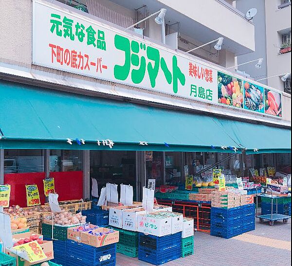 ワンルーフフラット月島 204｜東京都中央区月島４丁目(賃貸マンション1K・2階・25.02㎡)の写真 その18