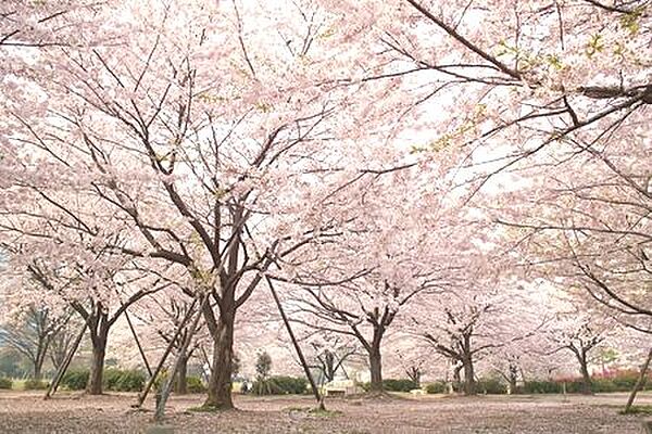 レオーネ清澄白河 704｜東京都江東区平野３丁目(賃貸マンション1K・7階・24.79㎡)の写真 その16