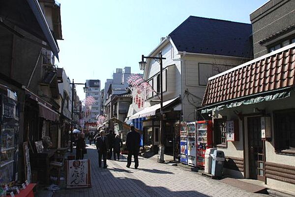 ログ門前仲町（Ｌｏｇ門前仲町） 601｜東京都江東区古石場２丁目(賃貸マンション1K・6階・25.52㎡)の写真 その19