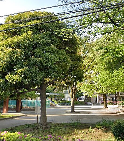 ティモーネ押上ノルド 503｜東京都墨田区東向島３丁目(賃貸マンション1LDK・5階・33.63㎡)の写真 その17