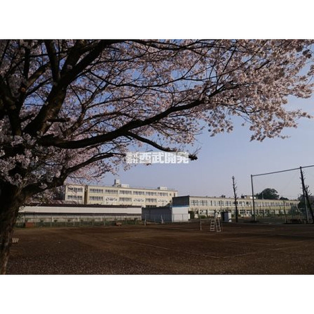 Image 8