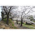 周辺：白山公園