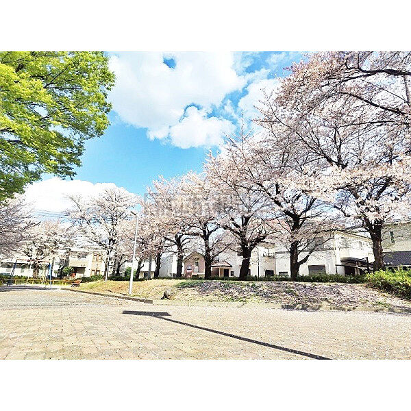 周辺を拡大表示
