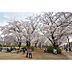 周辺：福岡中央公園