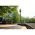 周辺：小平中央公園