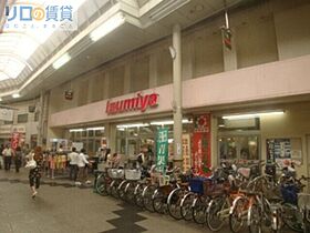 大阪府大阪市東淀川区西淡路2丁目（賃貸マンション1LDK・3階・37.30㎡） その29