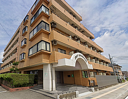 アペックス開発