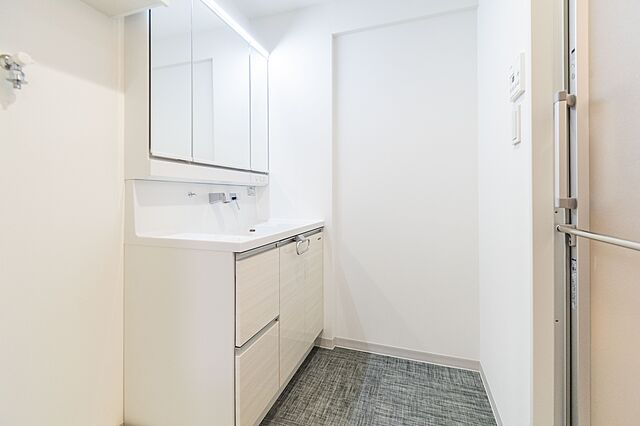 洗面 メインステージ板橋本町駅前 3階/-