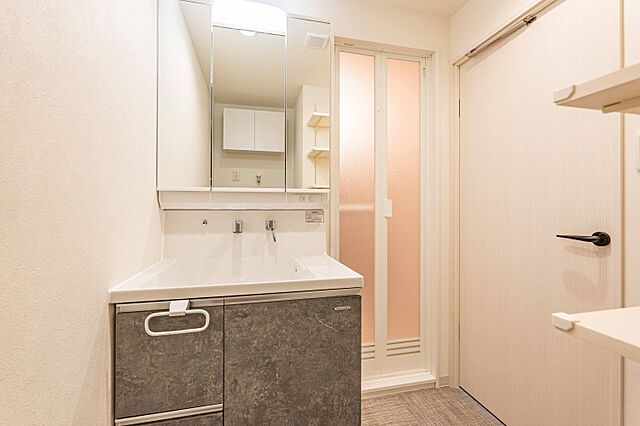 洗面 妙義坂マンション 12階/-