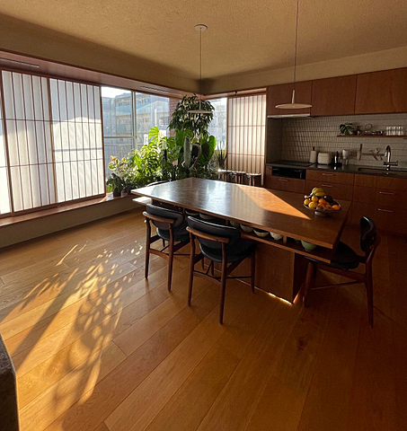 リビング/ダイニング ドルフブルーメン 5階/-