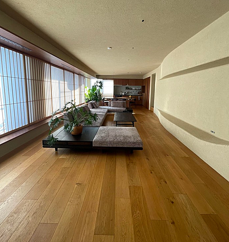 室内 ドルフブルーメン 5階/-