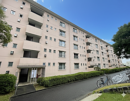 物件画像 立川柏町団地11号棟