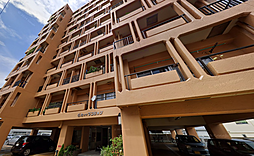 物件画像 信和大町マンション