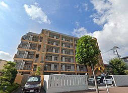 物件画像 エンゼルハイム柴又プロムテラス