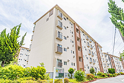 物件画像 横須賀馬堀台団地19号棟