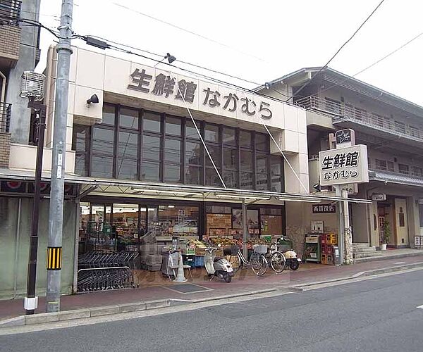 画像30:生鮮館なかむら 西賀茂店まで10m 新鮮な食材勢揃い。