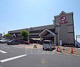 マツモト 向日店まで800m