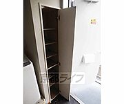 大きいです