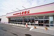 ファッションセンターしまむら富田店 770m