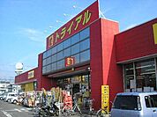 トライアル 520m
