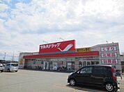 ツルハドラッグ東通店(300m)