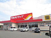 ツルハドラッグ川尻店(500m)