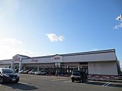 ナイス外旭川店(450m)